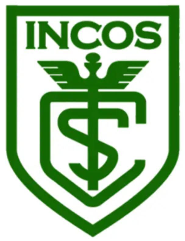 Incos El Alto